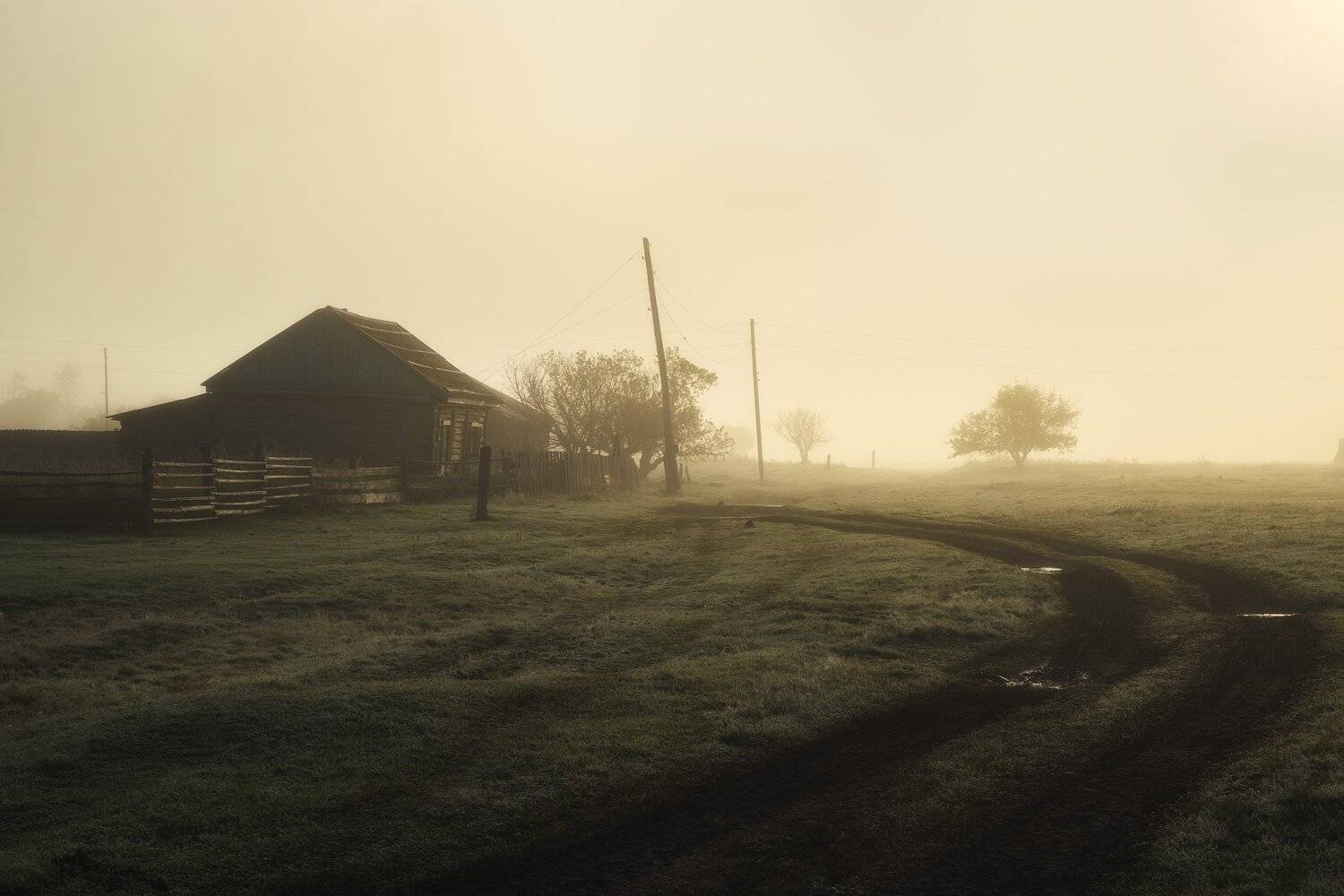 россия, алтай, алтайский край, тигирек, сибирь, осень, природа, пейзаж, горы, хребет, лесостепь, рассвет, утро, туман, заповедник, Оборотов Алексей
