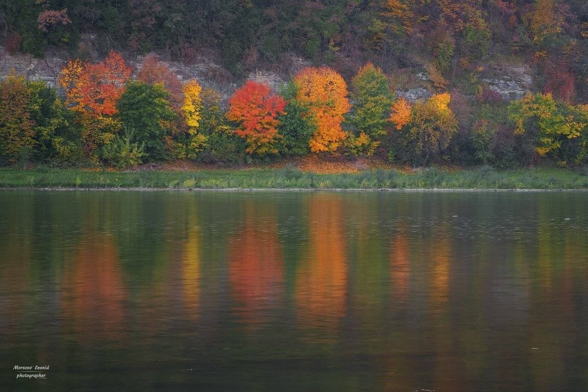 карпаты., украина., зима., пейзаж., снег., карпатский., гора., красивый., небо., природа., дерево., холод., мороз., путешествия., белый., сезон., ель., лес., фон., снежный., горы., зимний., утро., отдых., солнце., лед., изморозь., иней., сцена., синий., с, Леонид Морозов