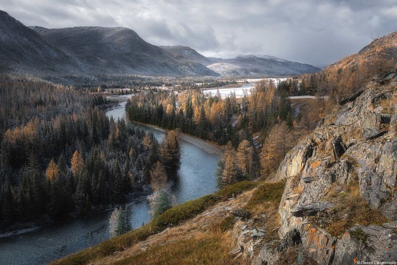 пейзаж, алтай, осень, горы, река, лес, снег Долина Коксу фото превью