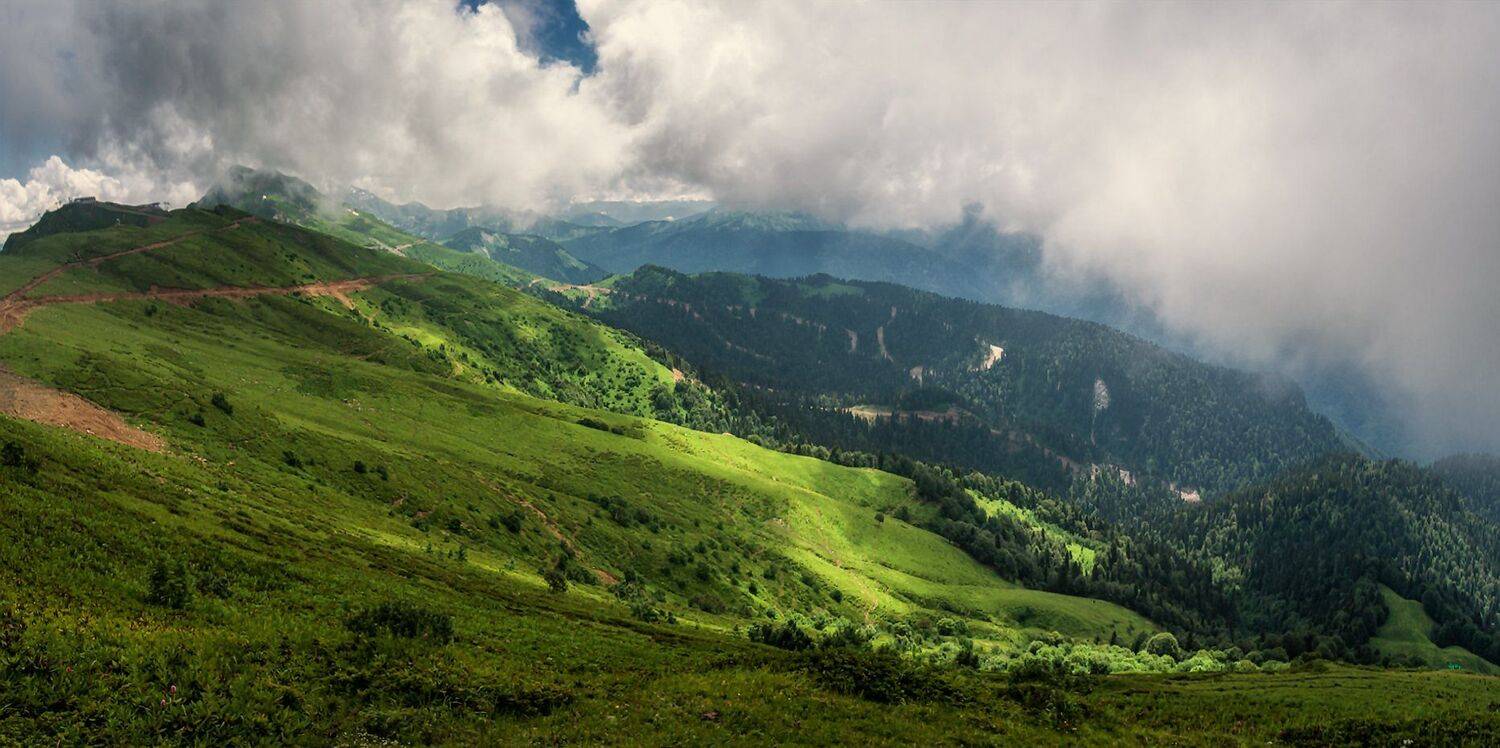 , Игорь Мелекесцев