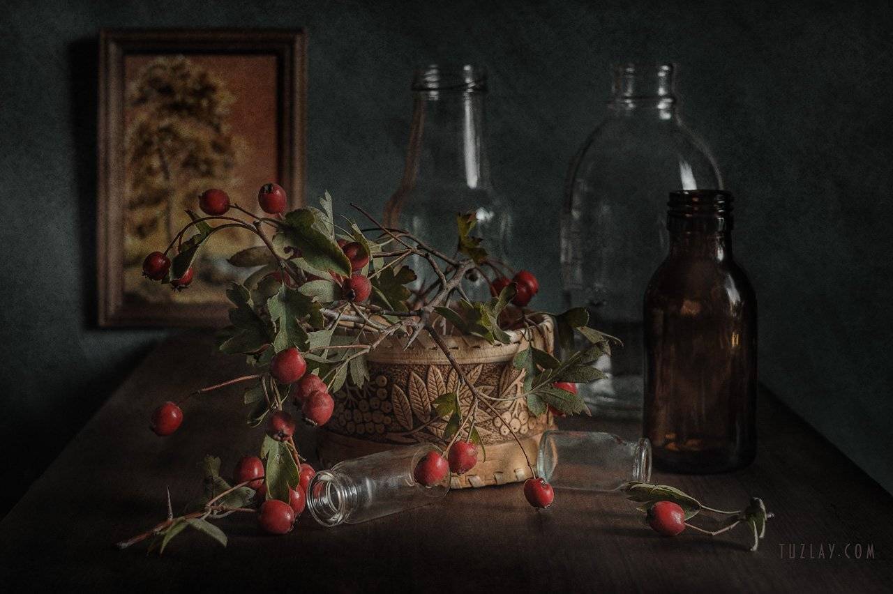 боярышник, бутылёк, красные ягоды, Владимир Тузлай
