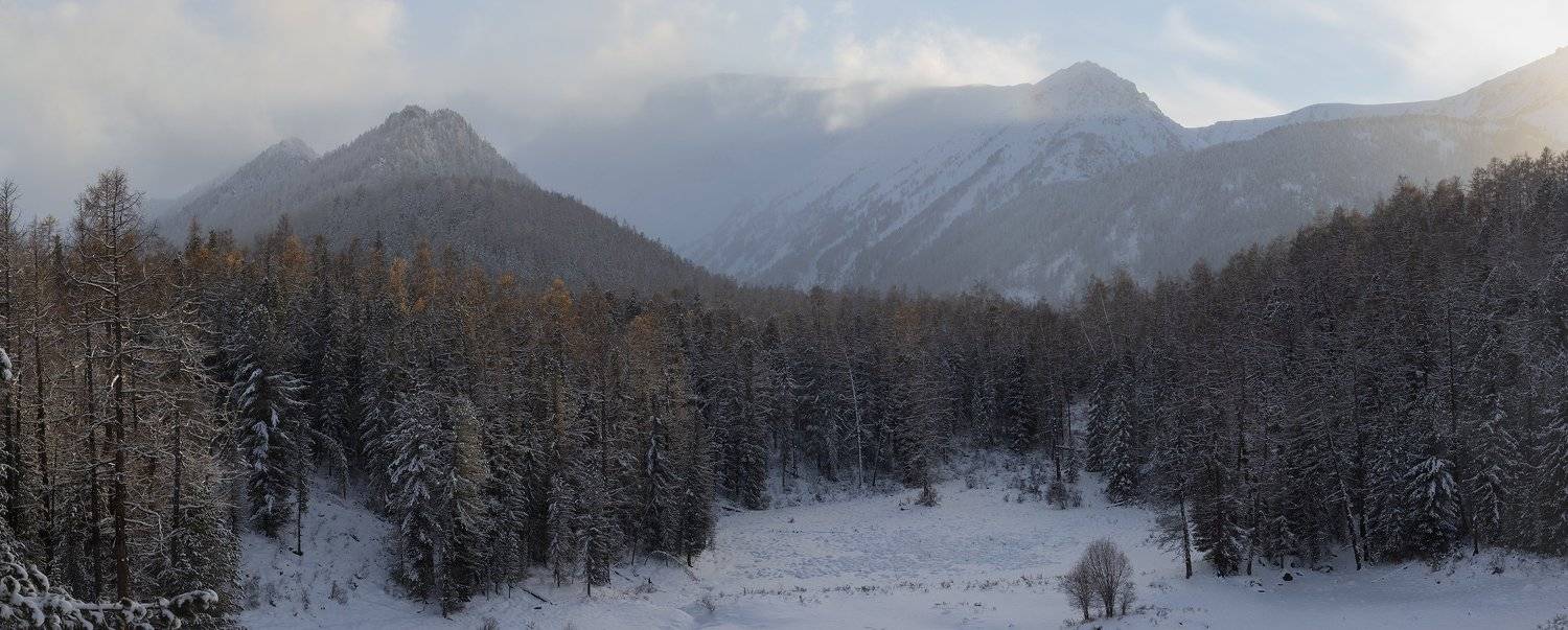 горный алтай, октябрь, осень, лиственницы, горы, замульта, Виктор Зайцев