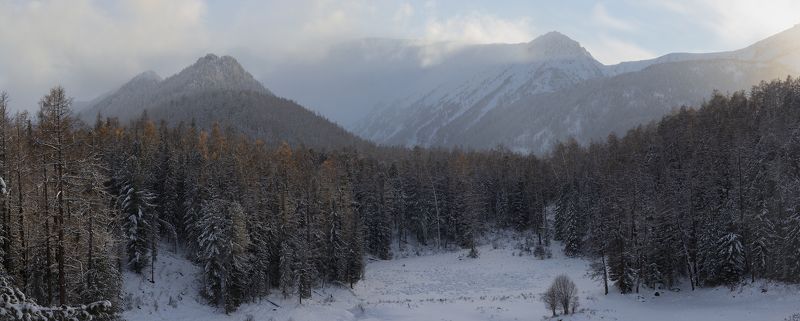 горный алтай, октябрь, осень, лиственницы, горы, замульта Вечерний свет \