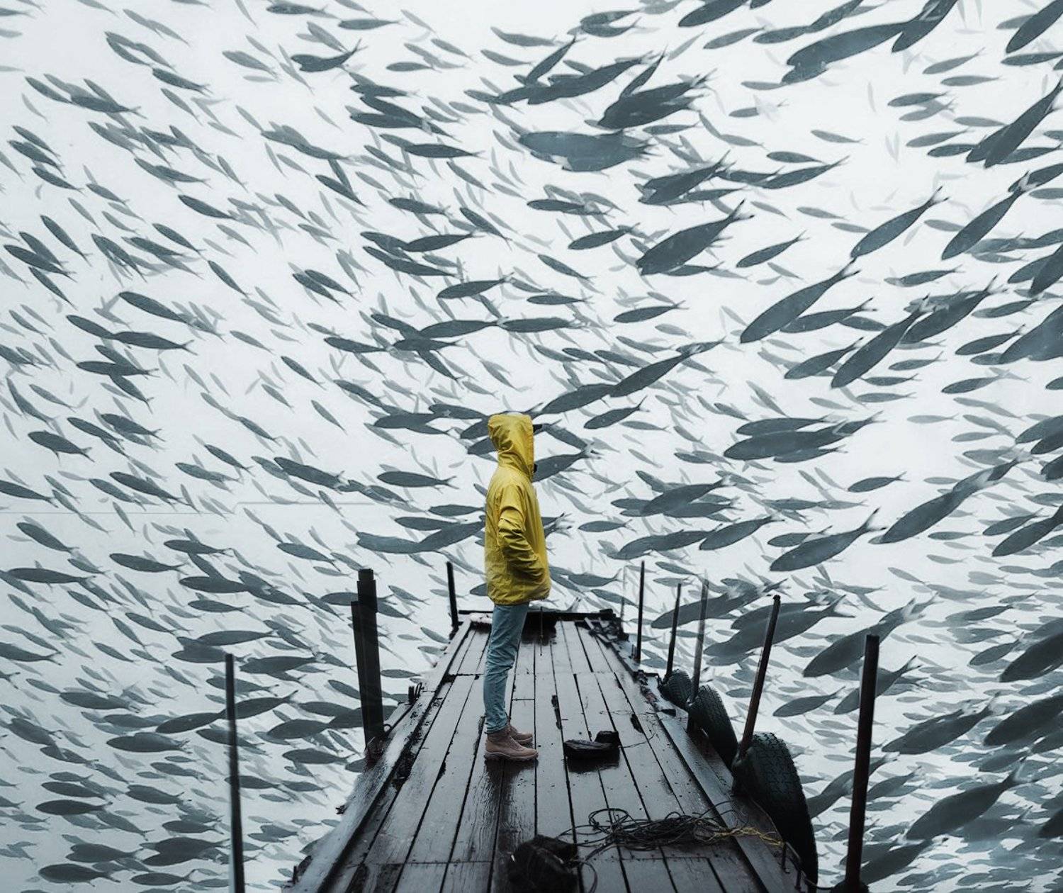 art nikon russia moscow spb, Сакрюкин Кирилл