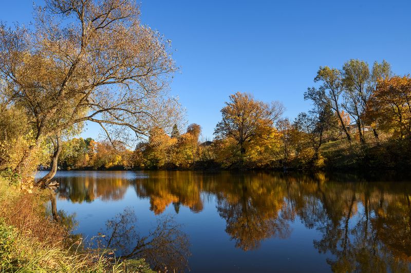 Осень фото превью