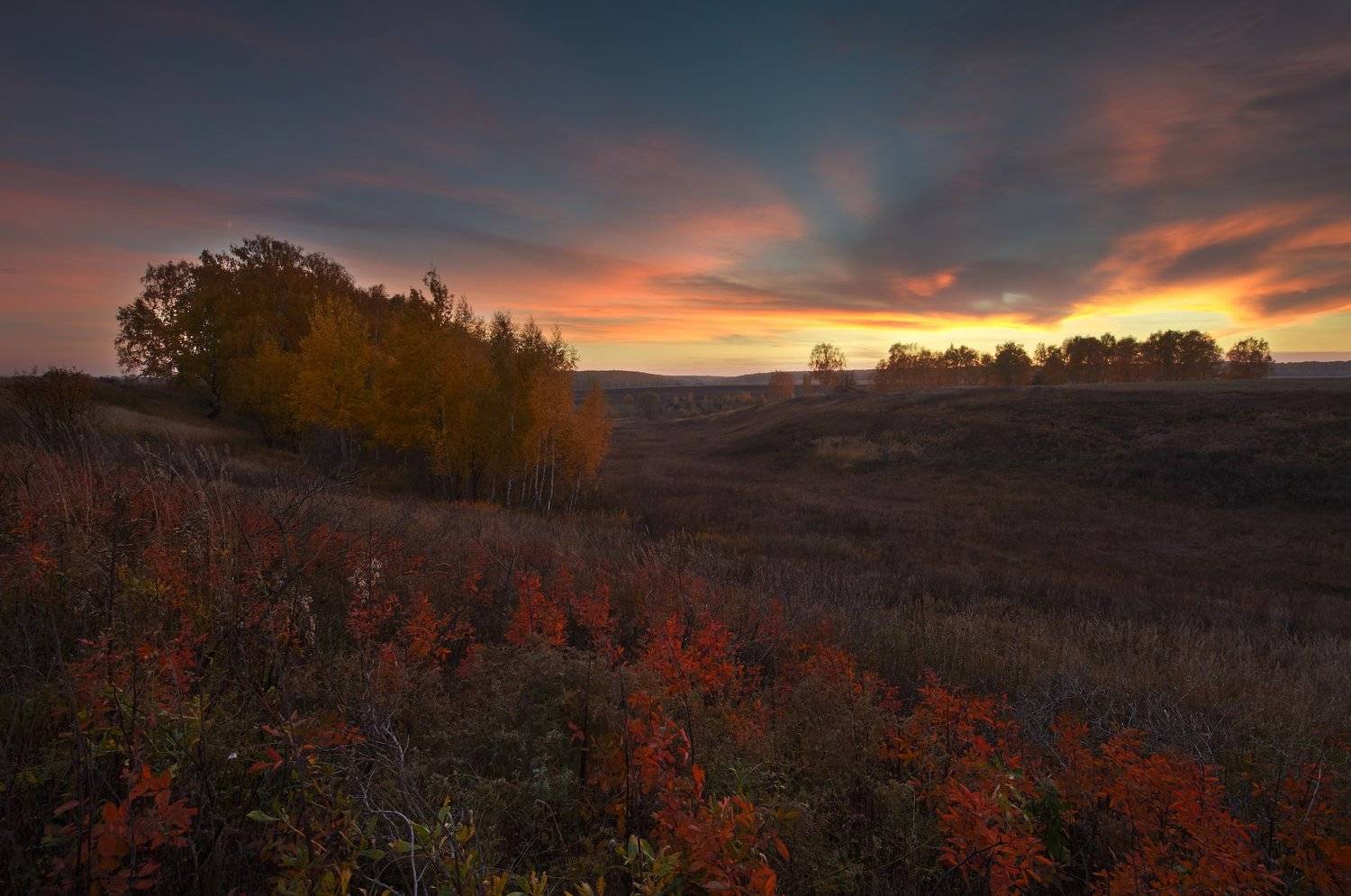 , Бурцев Дмитрий