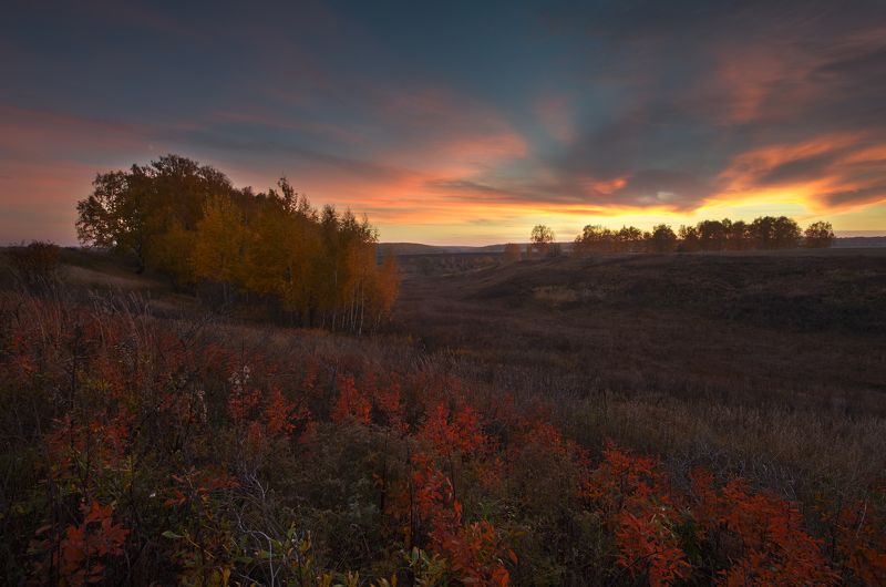цвет настроения красный фото превью
