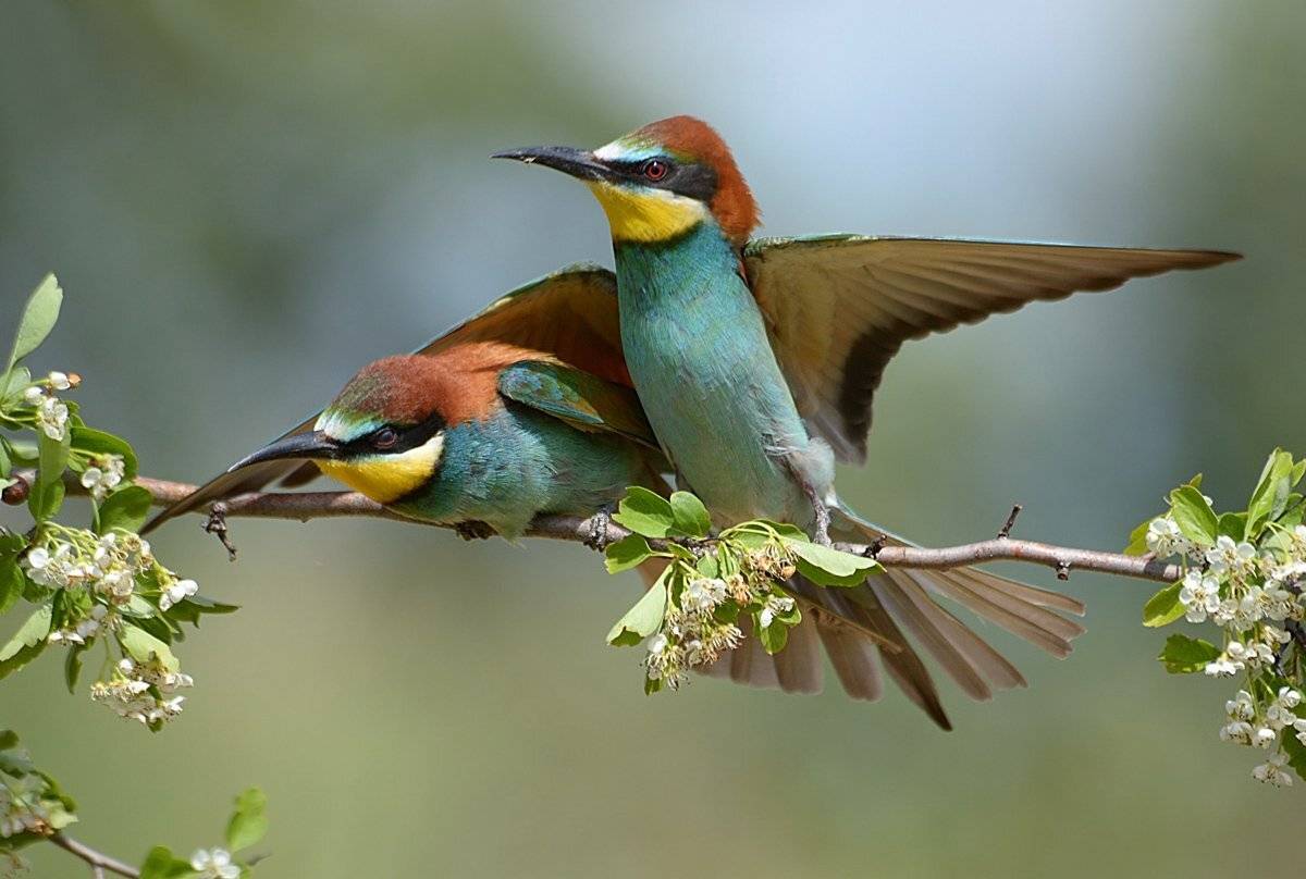 , Александр Чувилин