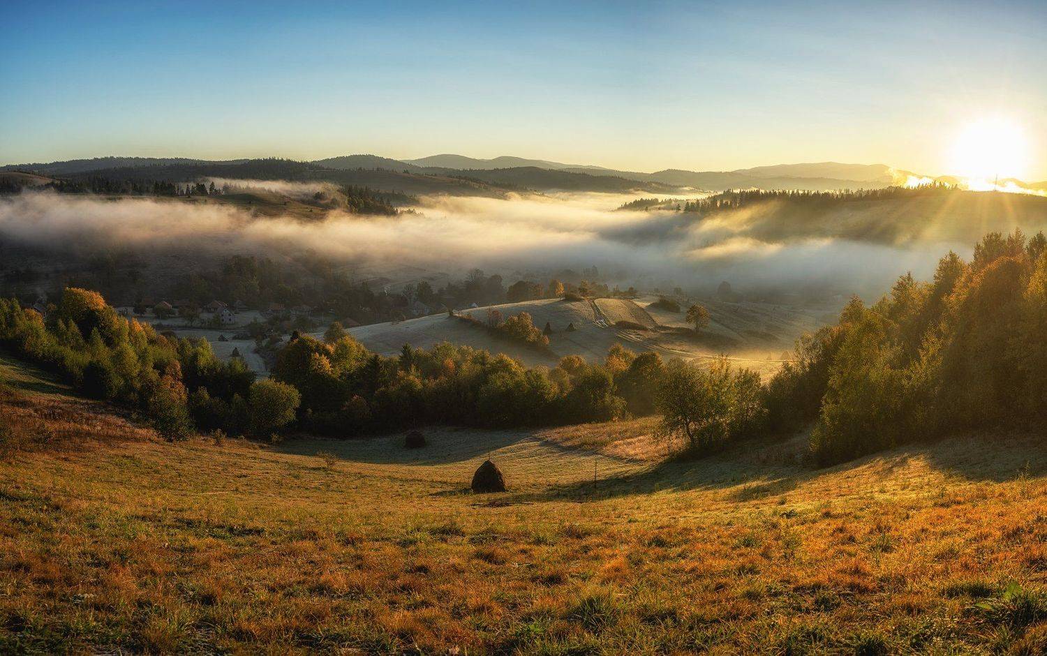 , Андрей Жила