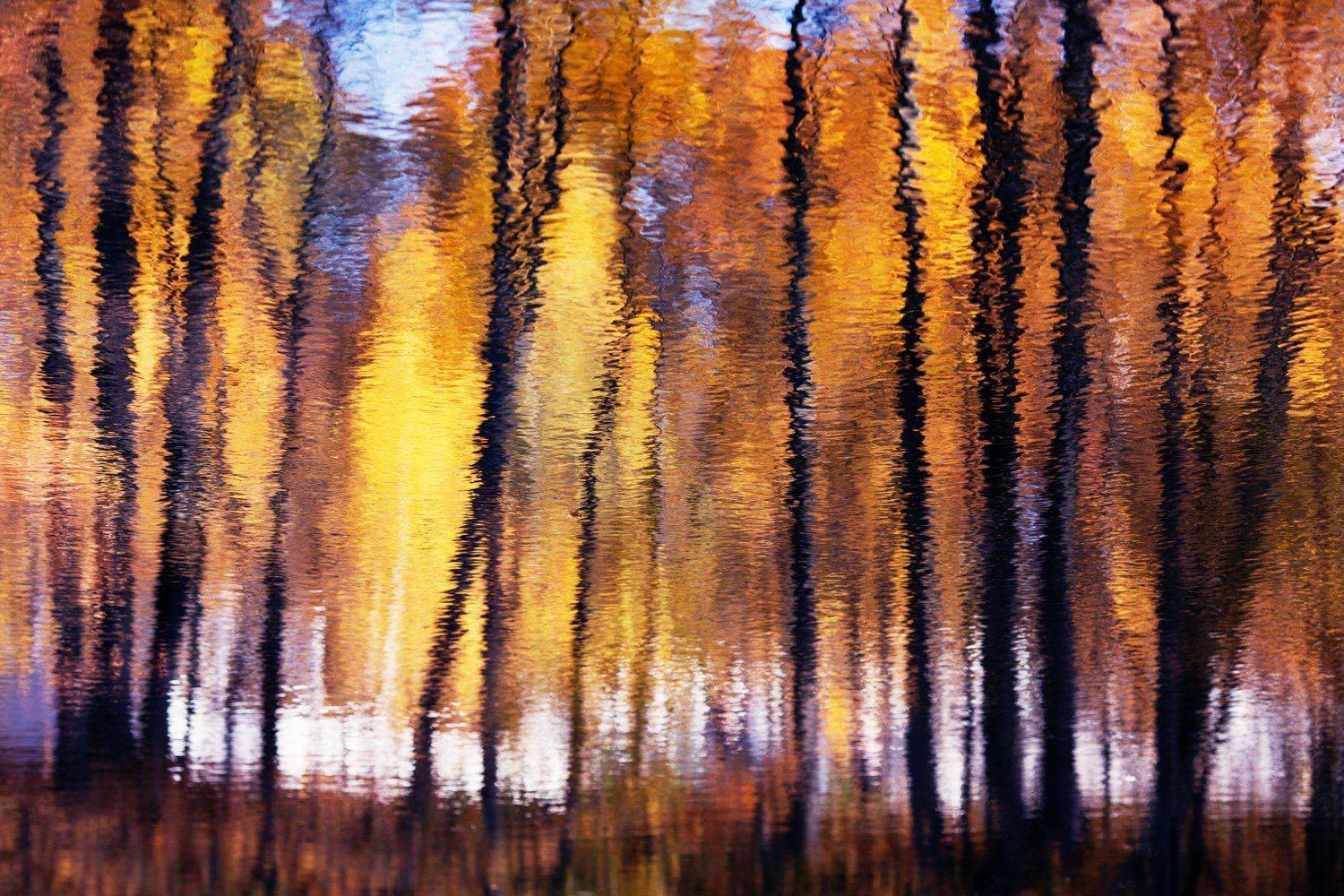 , Алексей Федотов