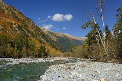 Осень в ущелье Псыш