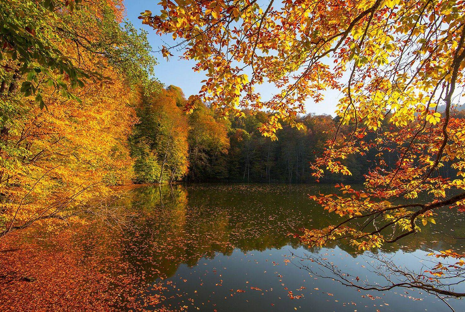 осень, Хасан Журтов
