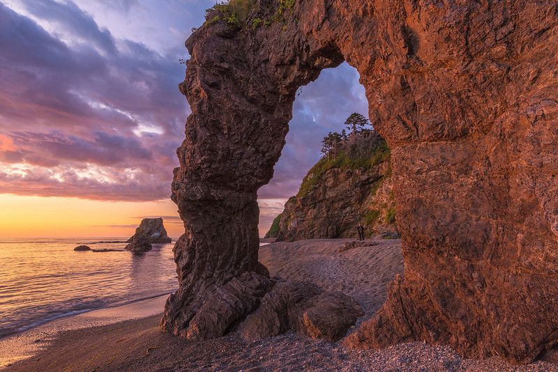 сахалин Нога сахалинского тролля фото превью