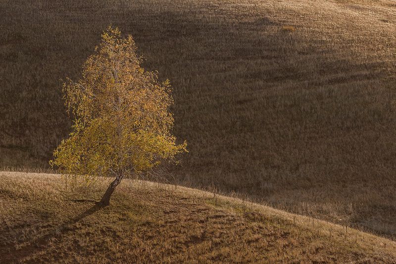 Золотая осень фото превью