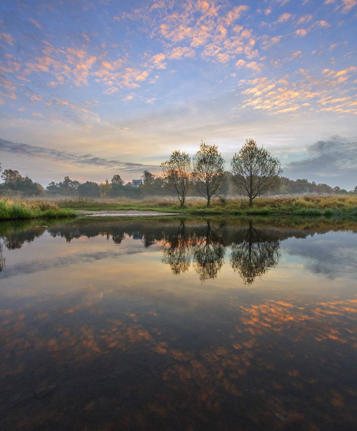 , Николай Андреев