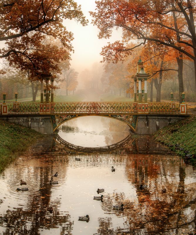 утро в парке фото превью