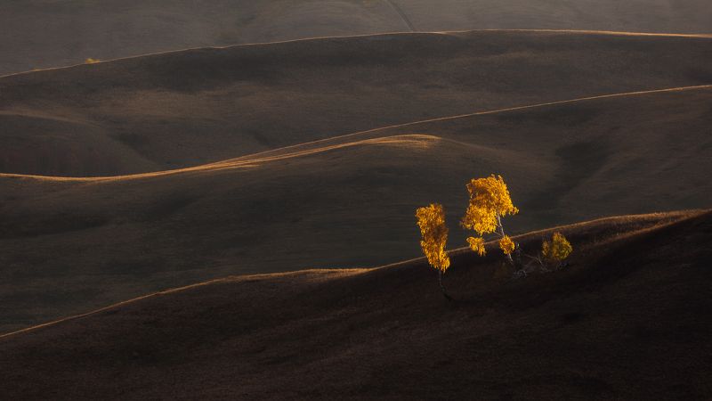 Дуэт фото превью