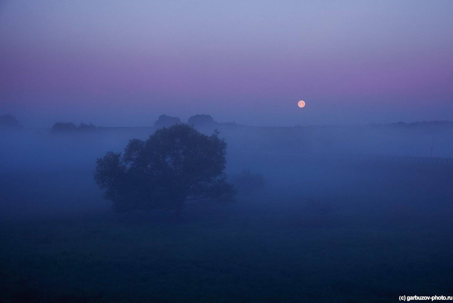 , Гарбузов Илья