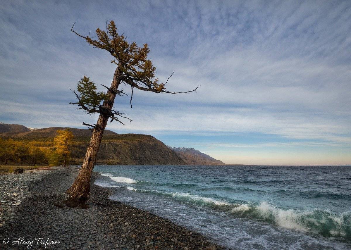 Байкал, Алексей Трофимов
