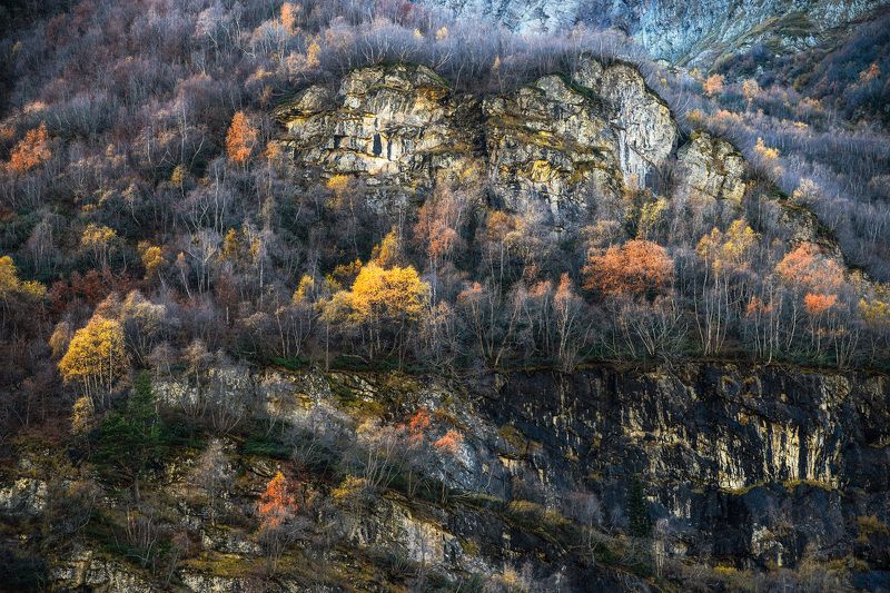 colors autumn forest mountains nature природа пейзаж осень лес горы landscape Colors. фото превью