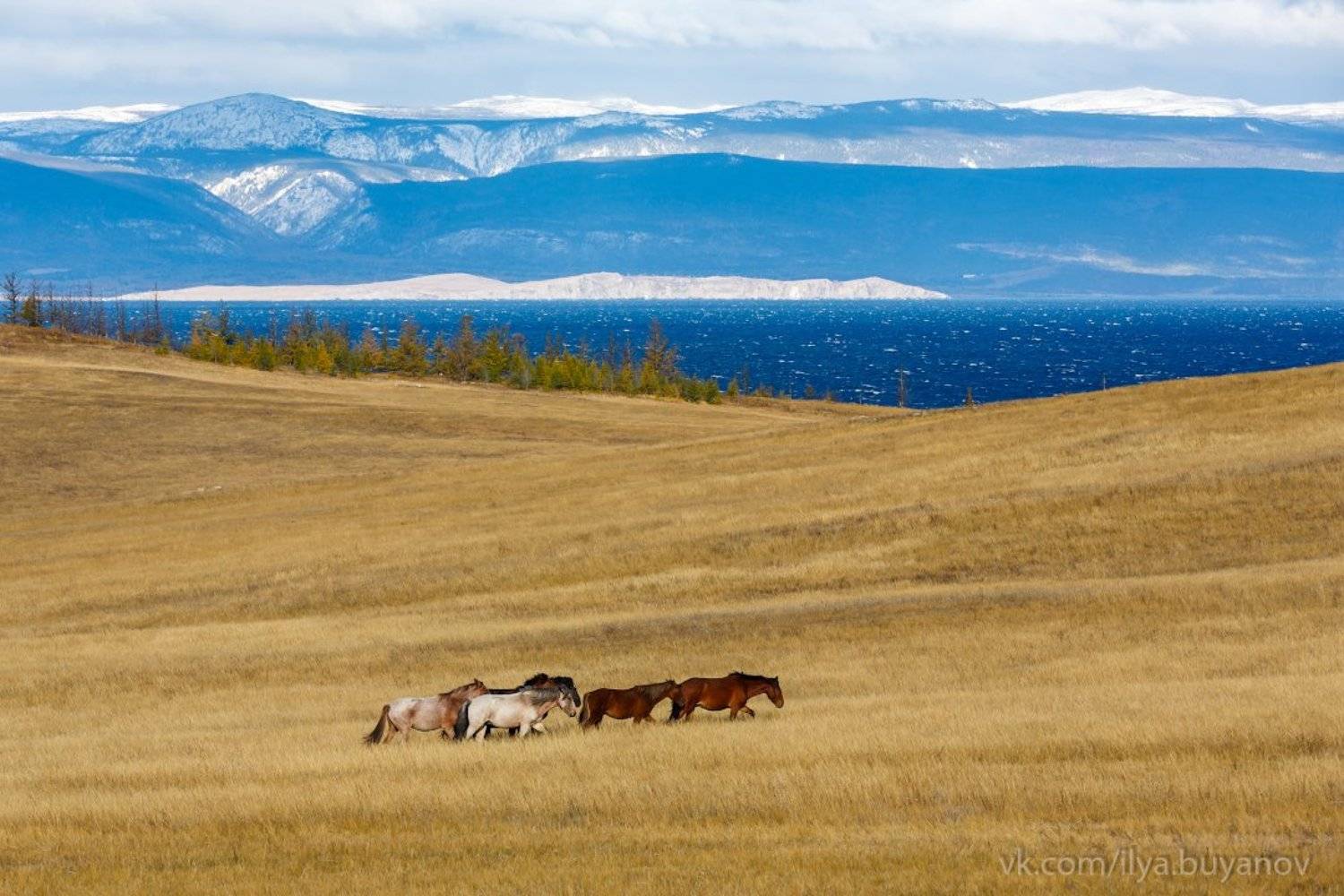 ольхон, Илья Буянов