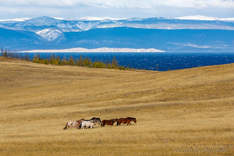 ольхон  фото превью
