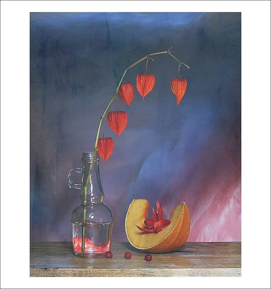 miechunka, martwa natura, jesień,, Ela Drzazga