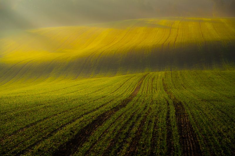 Jesienne pole фото превью