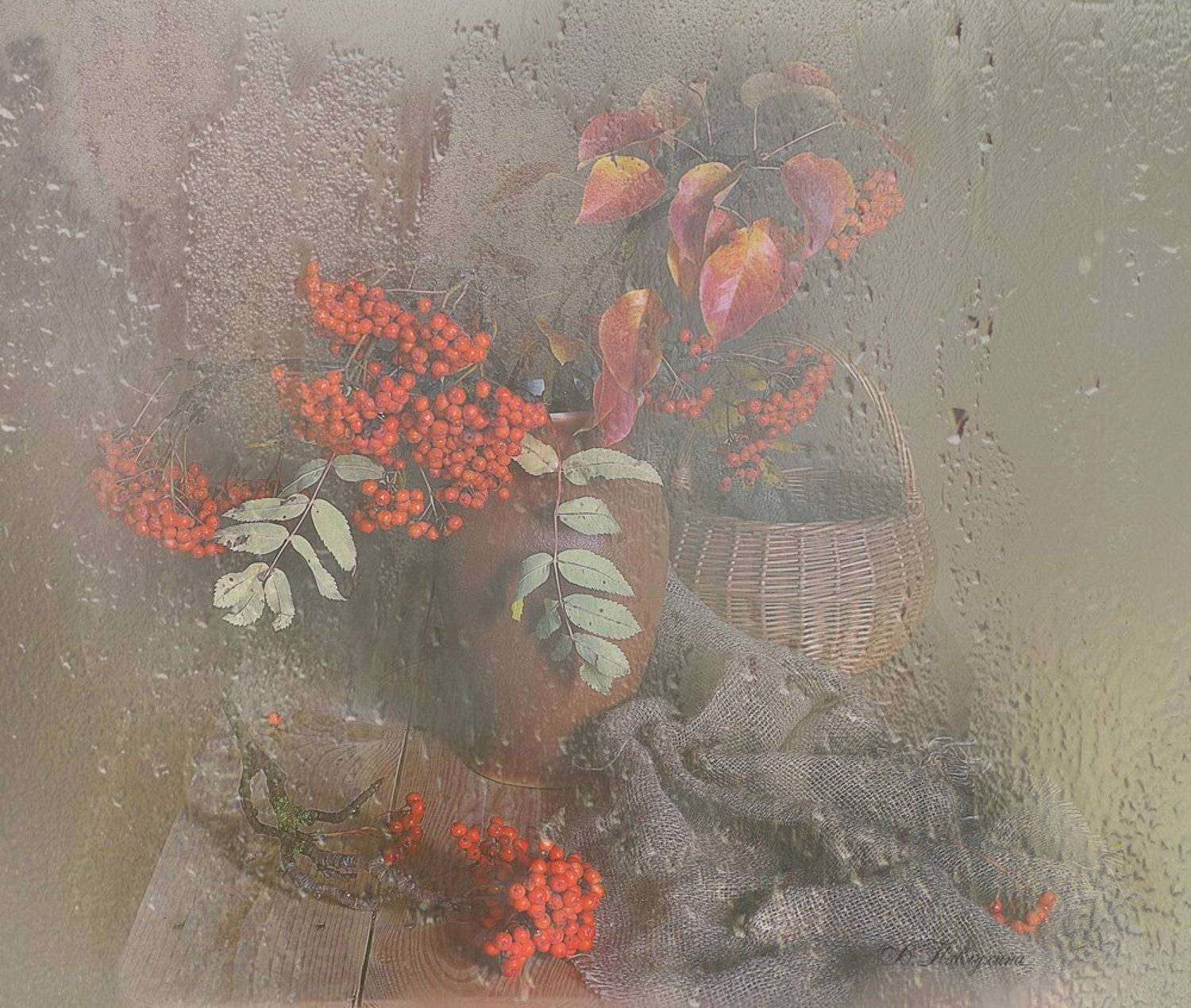 осень,капли,рябина,натюрморт,вера павлухина,, Вера  Павлухина