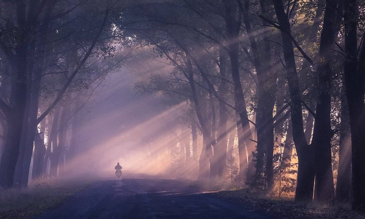 , Вячеслав Мищенко