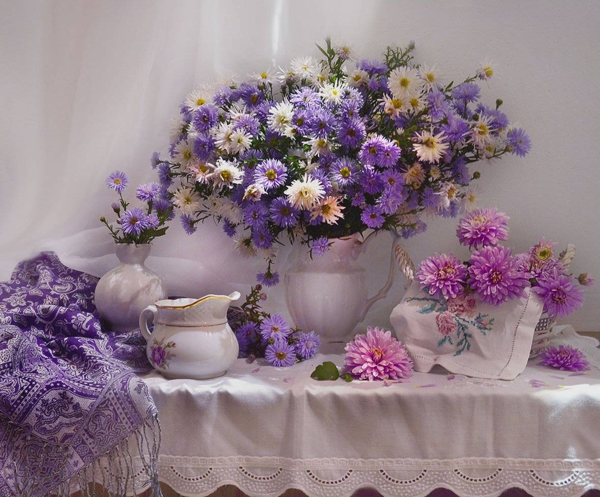still life,натюрморт, хризантемы, фото натюрморт, фарфор, осень, октябрь, настроение, астры, цветы,, Колова Валентина