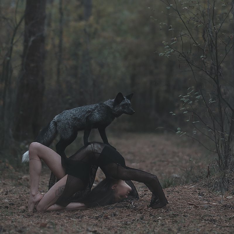 * фото превью