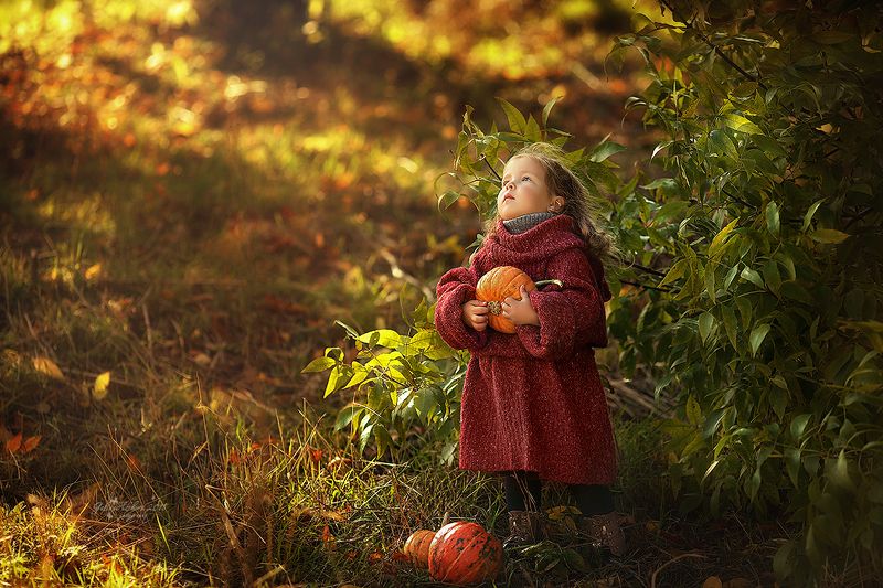 Стеша фото превью