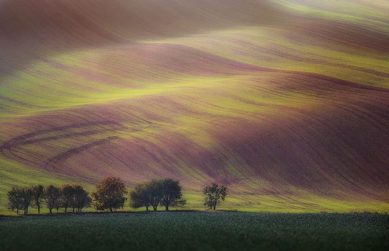 Moravia фото превью