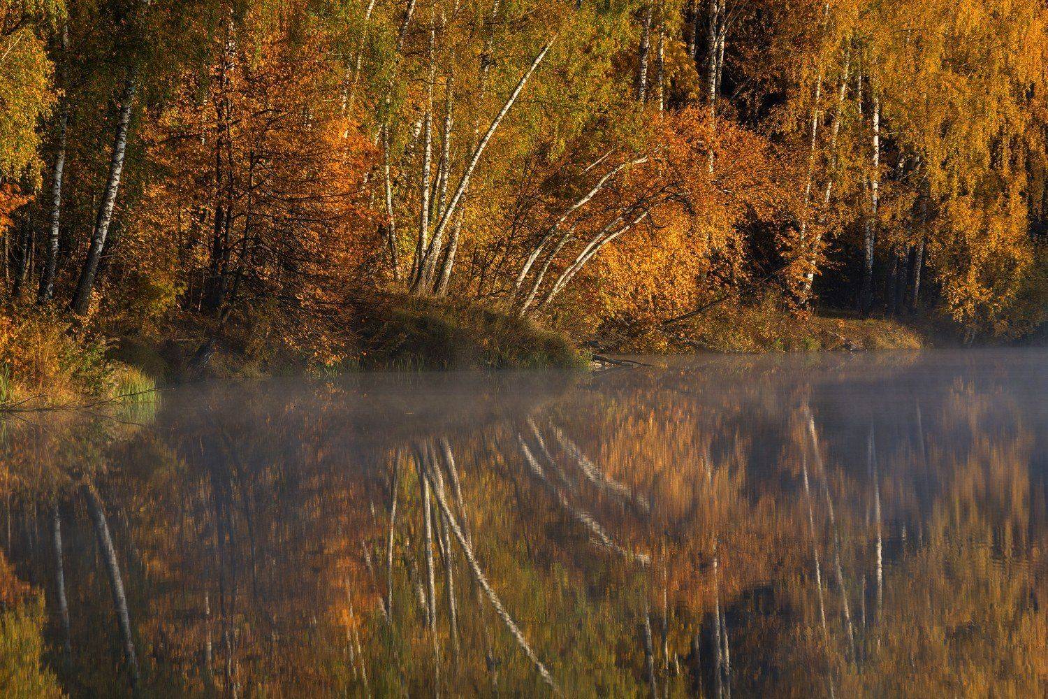 , Руслан Сигушин