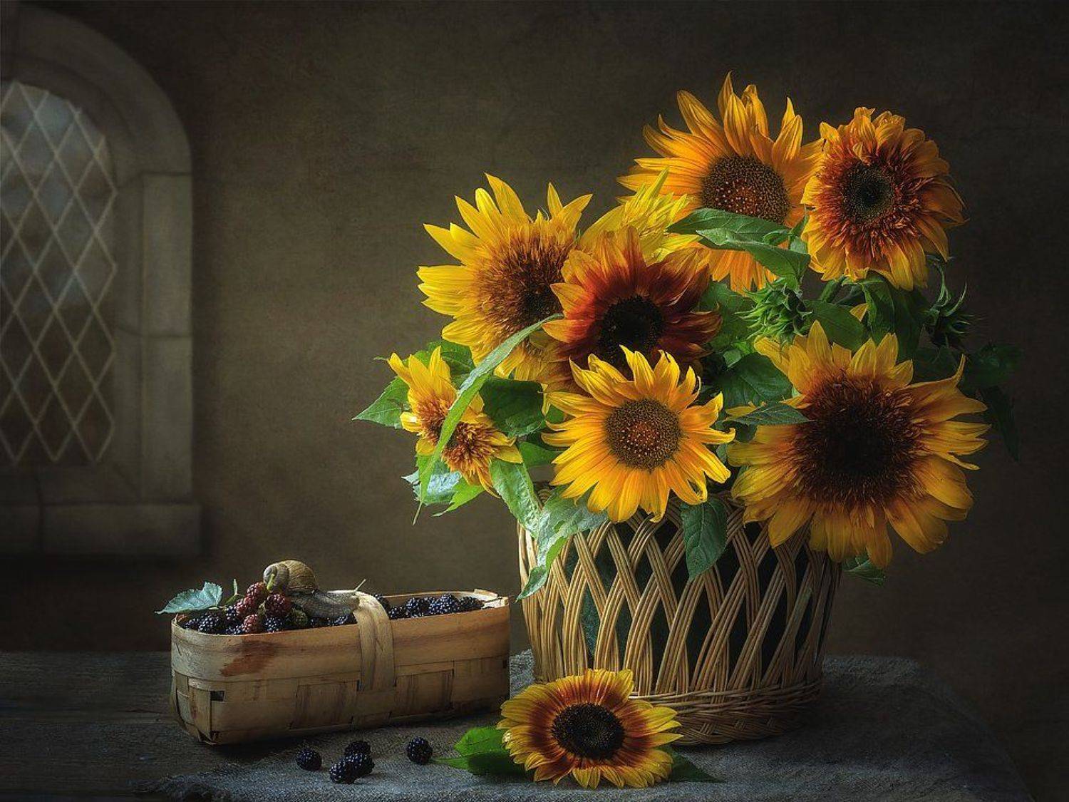 натюрморт, подсолнухи, лето, ежевика, улитка, Ирина Приходько