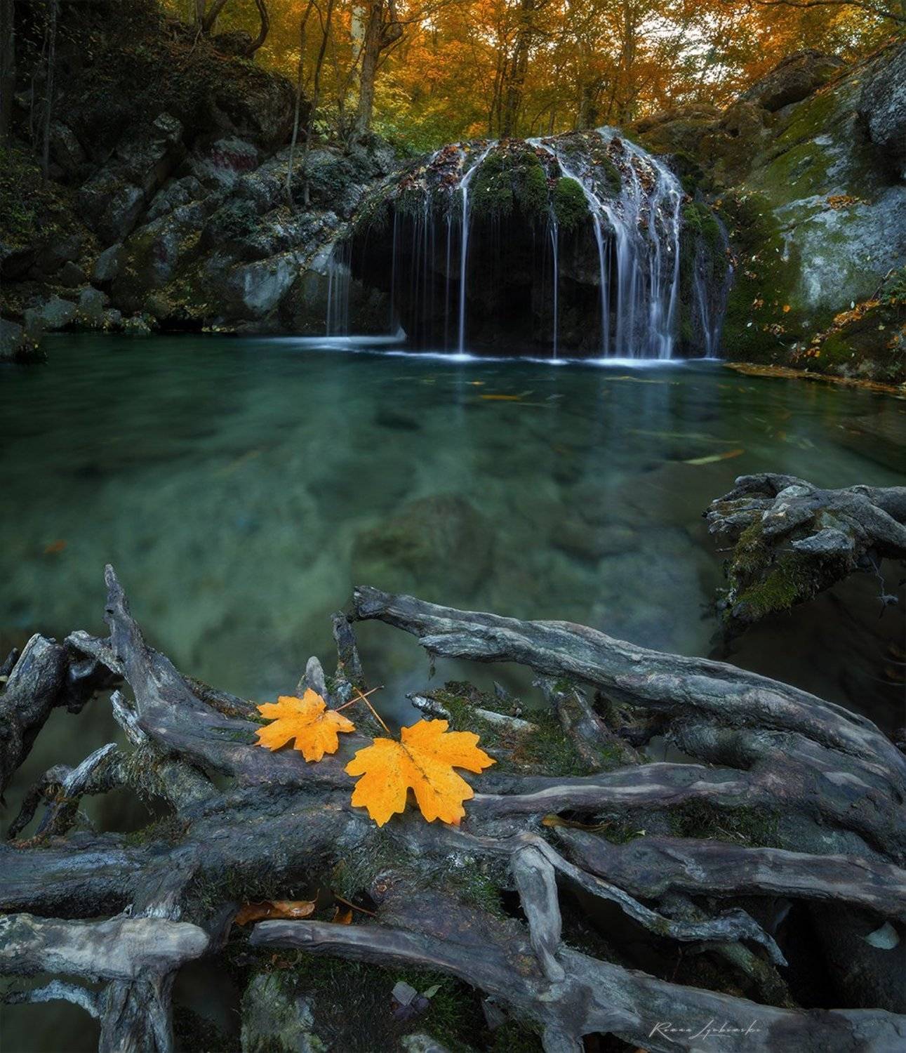 роман любимский, осень, крым, Роман Любимский
