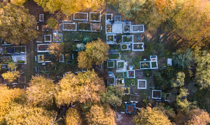 *** фото превью