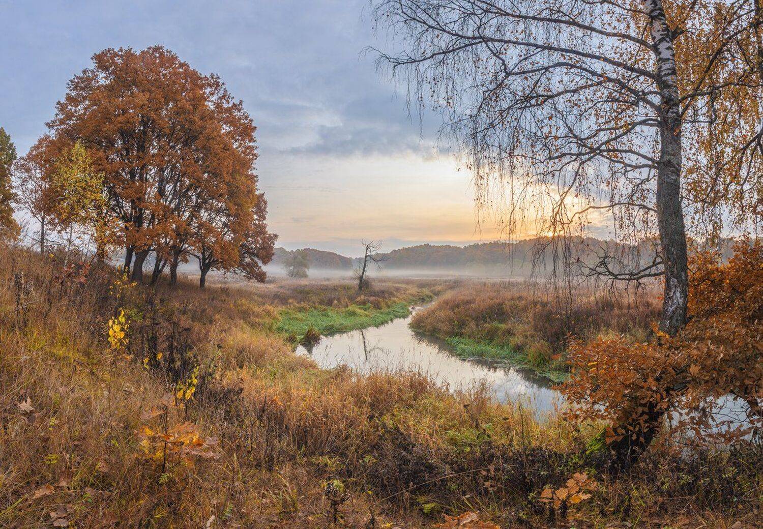 , Николай Андреев