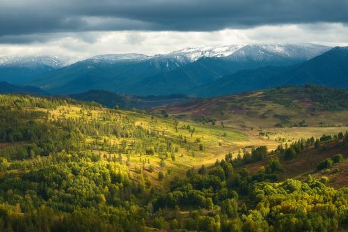 Алтайские зарисовки