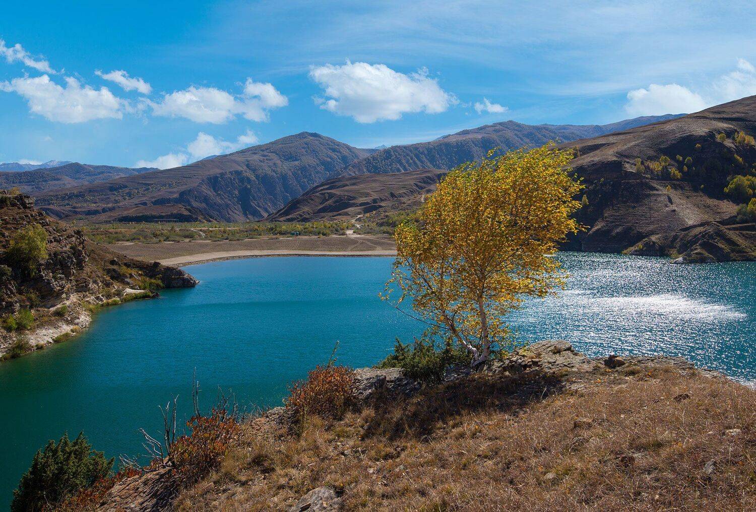 , Хасан Журтов