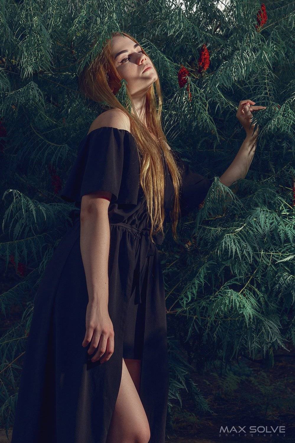 girl, girls, models, woman, female, dark, fashion, beauty, brunette, beauty, hair, outdoor, location, tree, flash,, Max Solve