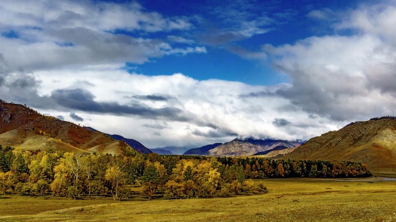 пейзаж, осень, горы, Горный Алтай  Осенний Алтай.  фото превью