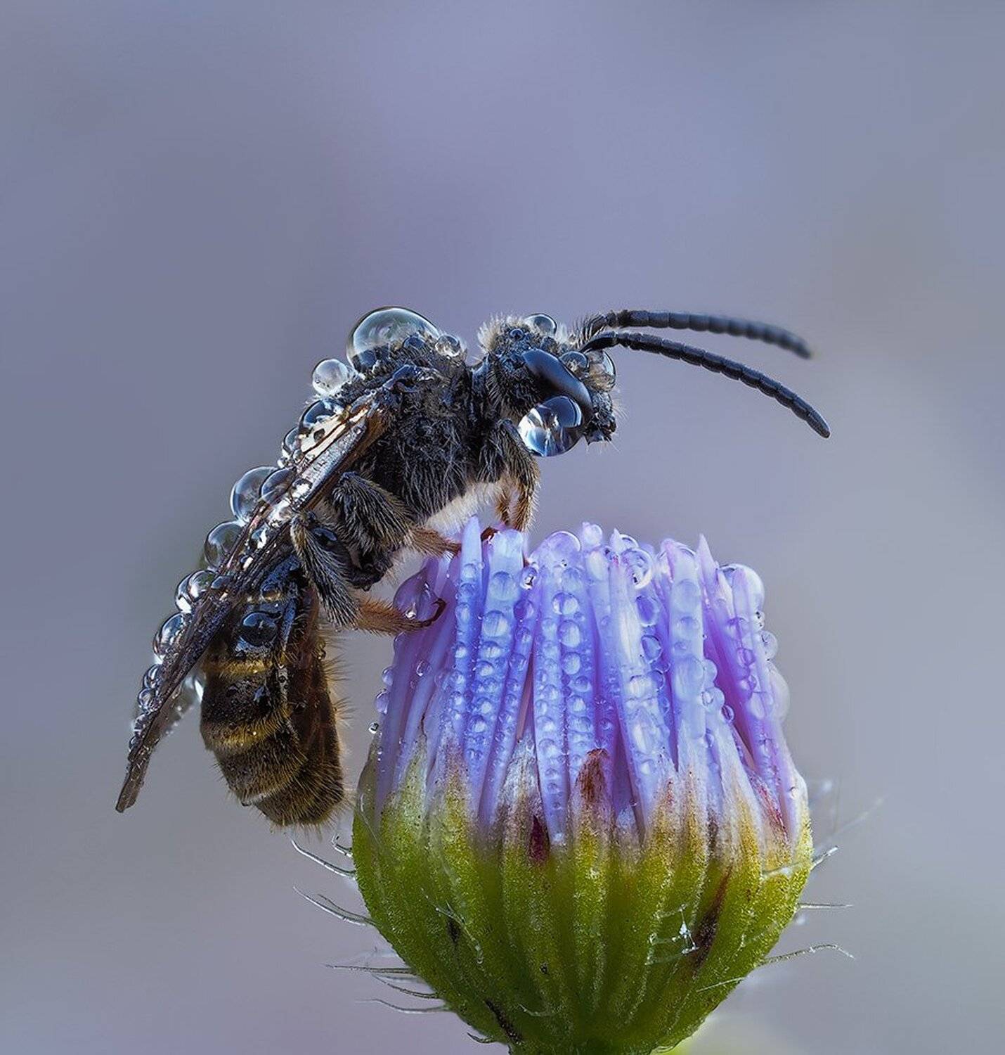 macro,макро, Евгений Лукашук