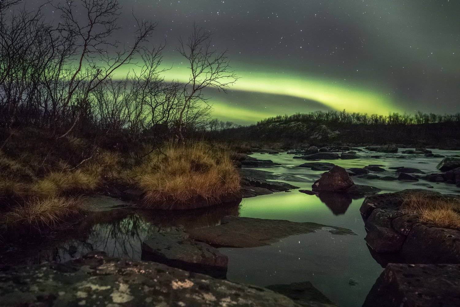 мурманская область, Daemus