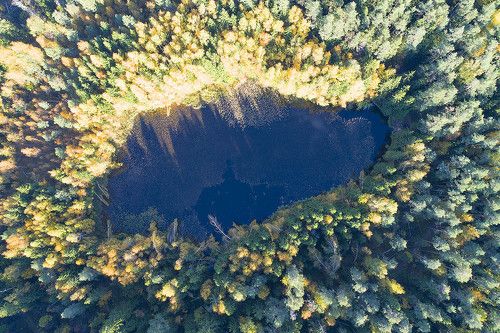 Сегодня в Подмосковье