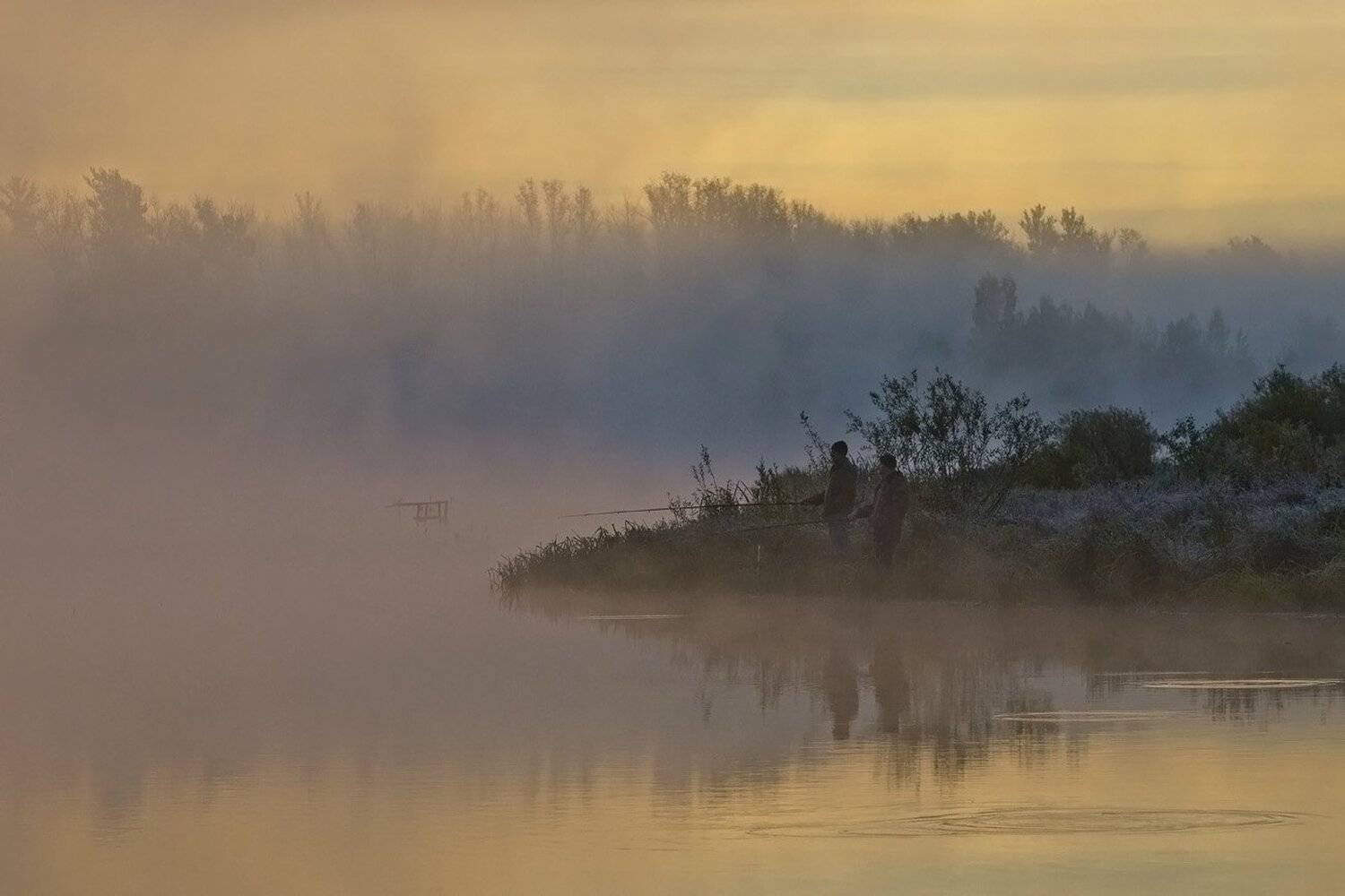утро, рыбалка, туман, природа, архангельское, Михаил Агеев