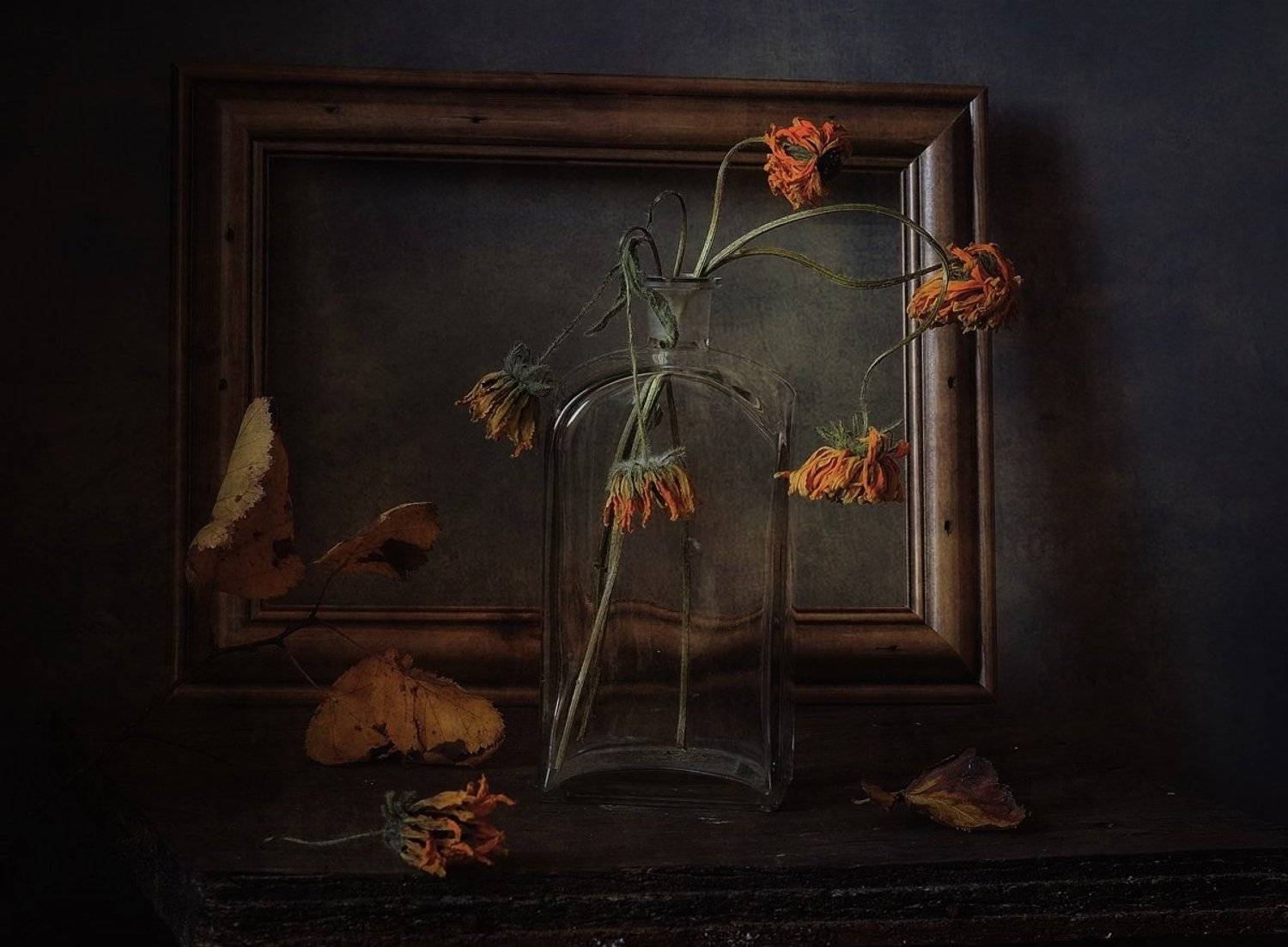 натюрморт,осень,увядание, Наталия К