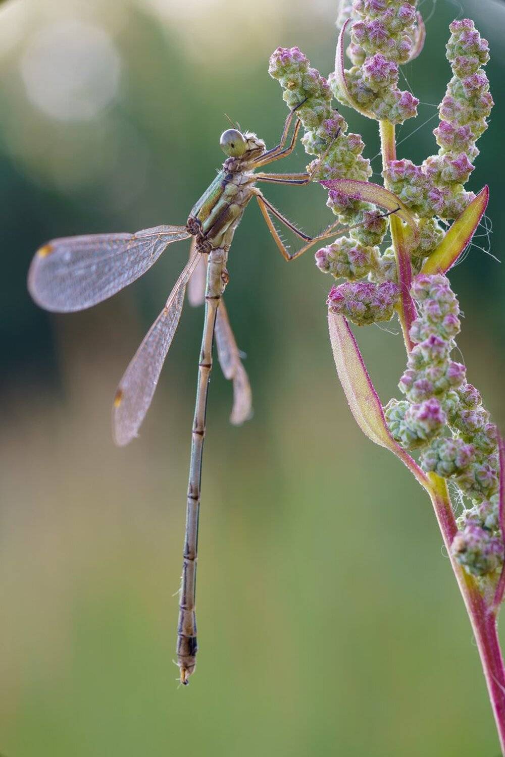 , Кузнецов Дмитрий