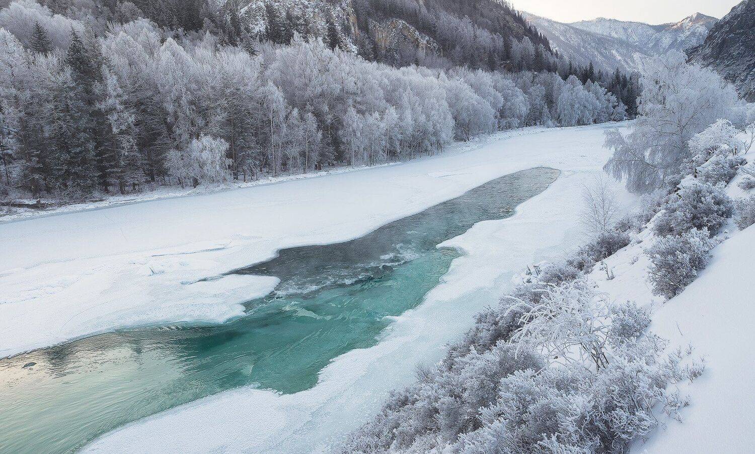 , Лещёнок Александр